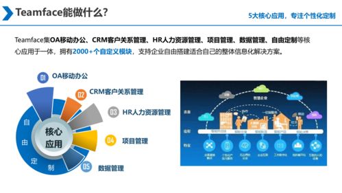 大型集团企业信息化建设 源代码采购与二次开发的战略抉择